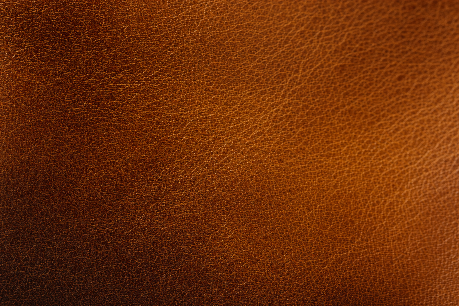 Whiskey saddle leather macro